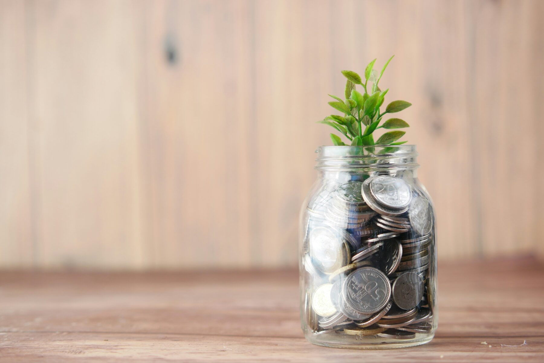 Glass jar filled with coins and a green plant.